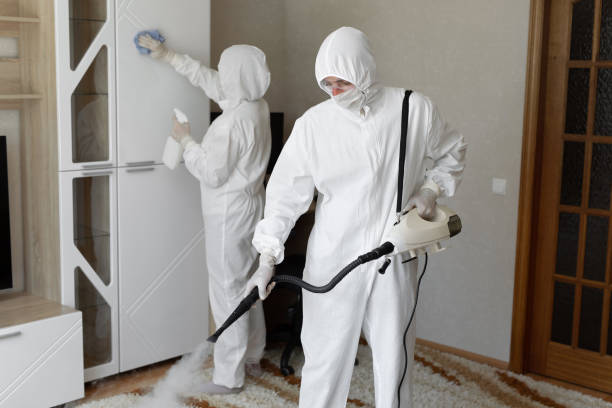 Mold Testing and Removal in Weirton, WV